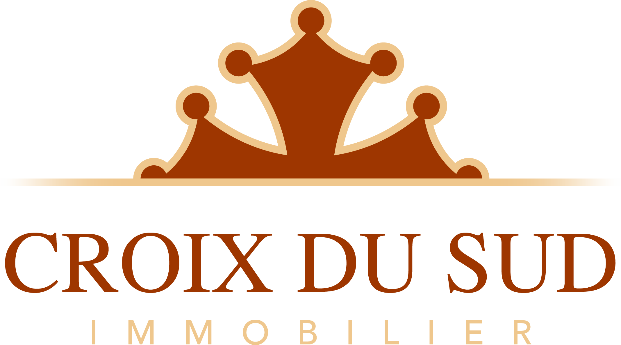 Croix du Sud Immobilier