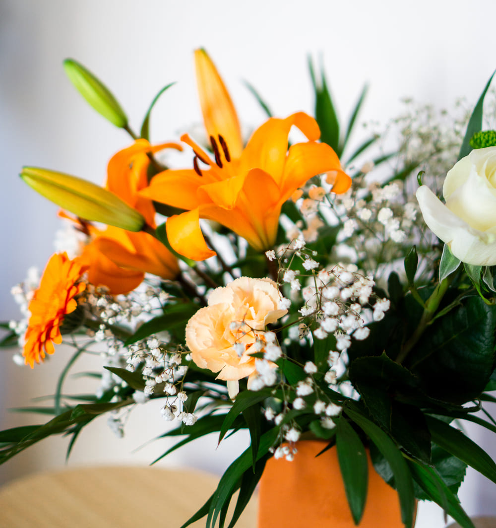 Agence Croix du Sud Immobilier — Auch & Toulouse