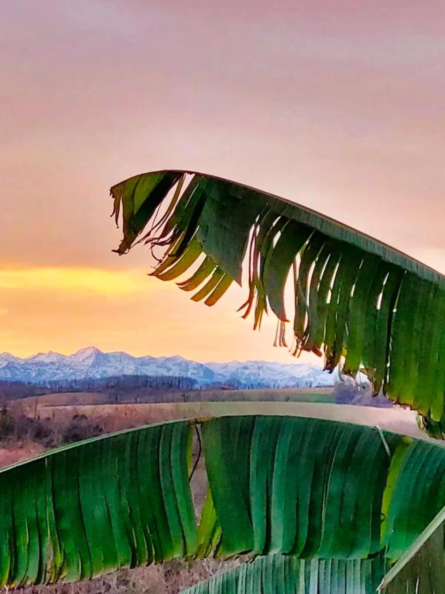 maison 6 pièces - AUCH