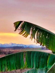 Maison en vente &agrave; Auch / 6 pi&egrave;ces 190 m&sup2;